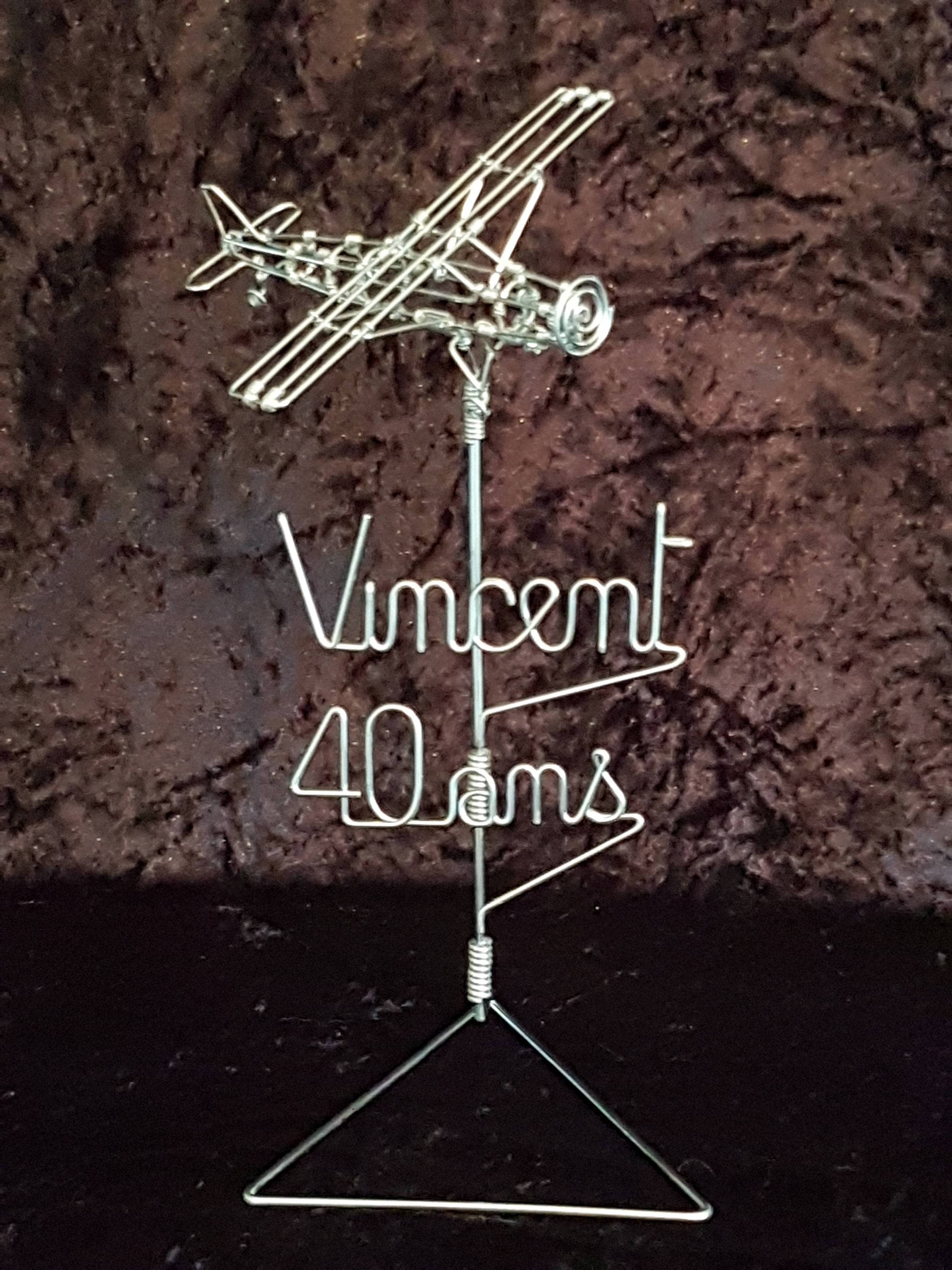 Avion Personnalisé en Fil Aluminium /Personalised Plane in Wire