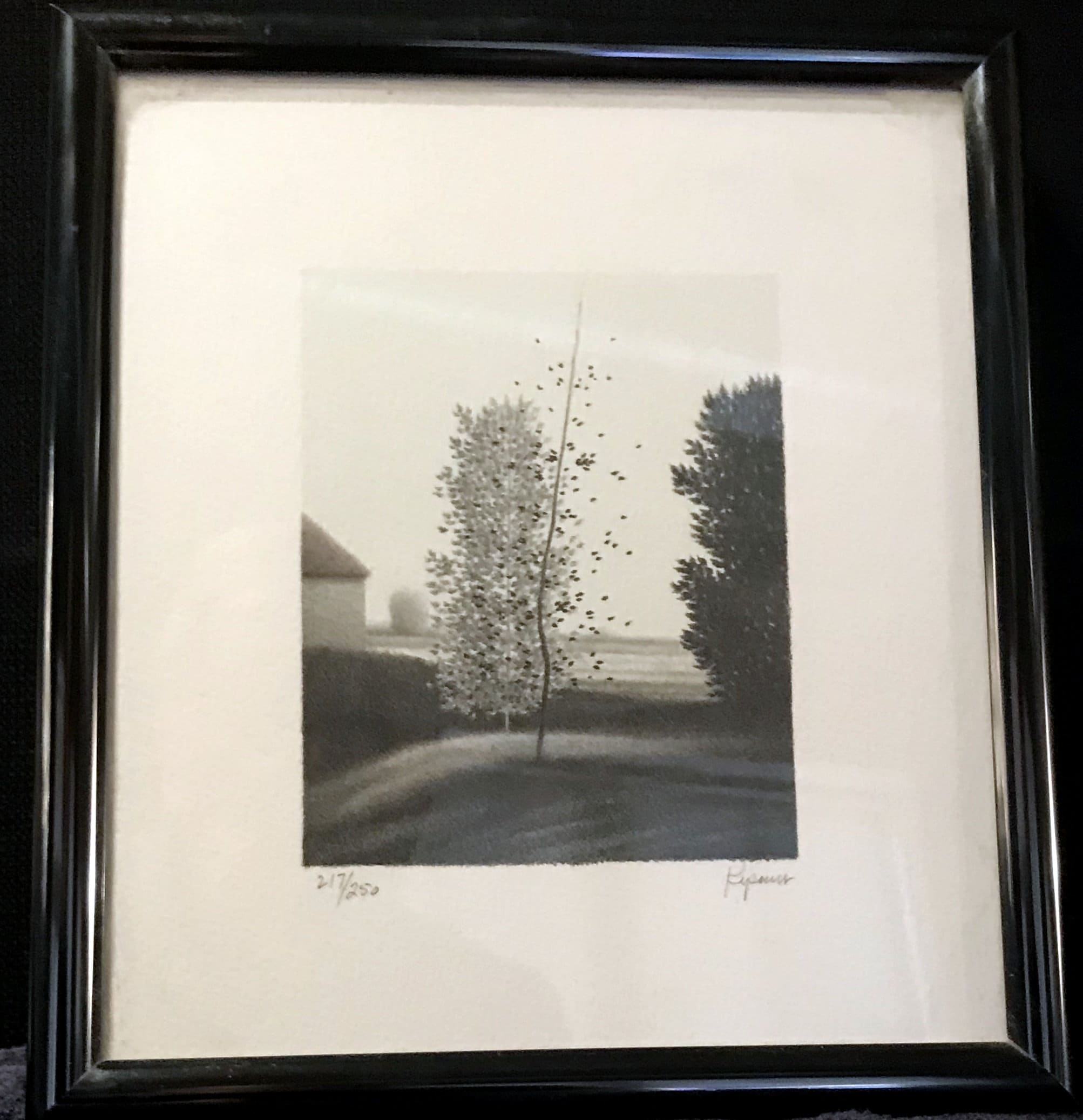 Robert kipniss - Etsy 日本