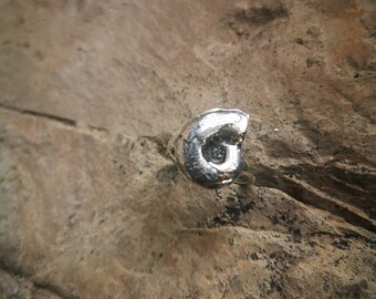 ammonite silver ring