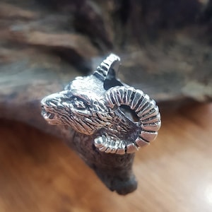 「molliveHeavyOZ」HEAVY SHEEP RING Sheep & Goat Livestock Show Supplies & Halters