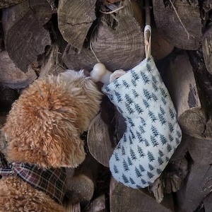 May include: A brown and white dog with a plaid bandana is looking at a white stocking with a black and white pine tree pattern. The stocking is filled with a white bone.