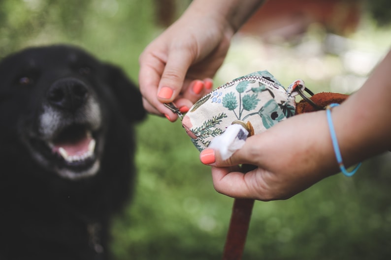 dog supplies and gifts sewing tutorial pdf for dogs dog waste bag dispenser doggie bag holder SEWING PATTERN for dog poop bag holder
