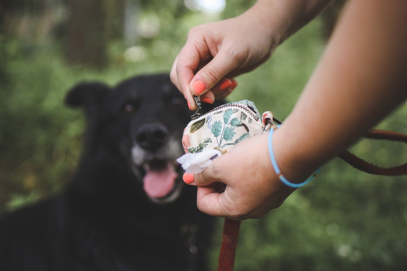 May include: A person's hand holding a small floral patterned bag with a zip. The bag is attached to a brown lead. A black dog is in the background.