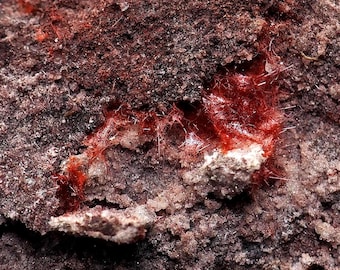 Chalcotrichite Ray mine, Pinal Co., Arizona Mineral Specimen