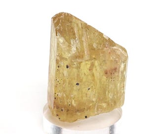 Yellow Apatite Crystal Mineral Specimen: Durango, Mexico (29mm x 21mm x 20mm)