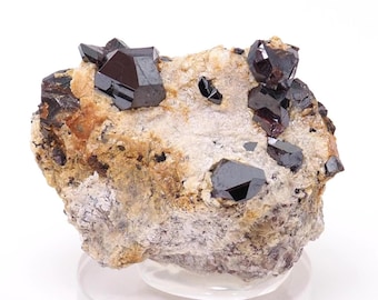 Rutile crystals on Pyrophyllite from Champion mine, White Mtns, California