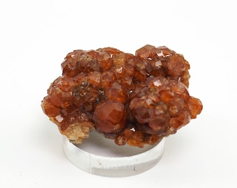 Spessartine Garnet crystal mineral specimen from Tongbei, China - 35mm x 28mm x 15mm (F96221) structure minerals