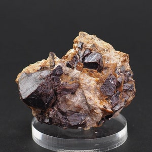 Puede incluir: Un grupo de cristales de color marrón oscuro y negro sobre una matriz de color marrón claro. Los cristales son afilados y bien definidos, y la matriz es rugosa y texturizada. La muestra se muestra sobre una base de acrílico transparente.