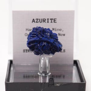 Azurite Crystal Mineral Specimen: Hanover Mine, New Mexico - Perky Box Collection