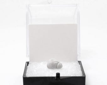 Perky Box - Thumbnail Box with Putty & Label, Empty Mineral Display Case, Stone Collection, Science Gifts, School Projects, Crystal Supplies