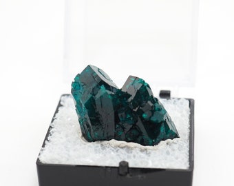 Dioptase crystal natural stone from Republic of Congo thumbnail perky box (TN2138) structure minerals