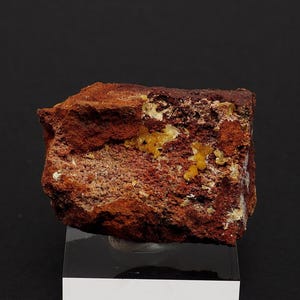 May include: A rough, reddish-brown rock with small, bright yellow mineral clusters embedded in it. The rock is on a white display stand.