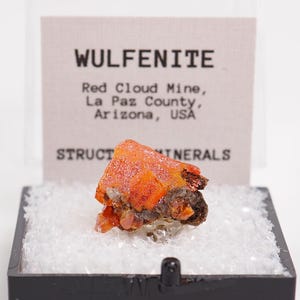 May include: A bright orange wulfenite mineral specimen displayed in a clear plastic box with a white base. The label reads WULFENITE, Red Cloud Mine, La Paz County, Arizona, USA, and STRUCTURE MINERALS. The crystal has a vibrant, tabular structure.
