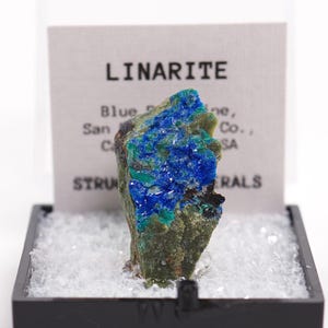 May include: A linarite mineral specimen featuring vibrant blue and green crystalline clusters on a textured matrix. The specimen is displayed in a black plastic box with a clear lid and a white label reading LINARITE, Blue Bell Mine, San Bernardino Co., CA, USA.
