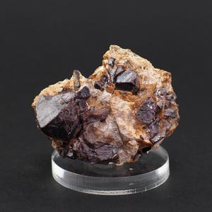 May include: A raw mineral specimen featuring dark, reddish-brown crystals embedded in a light brown matrix. The crystals have a reflective, glassy appearance. The mineral sits on a clear, circular display stand against a black background.