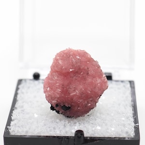 Rhodochrosite on Matrix: Santa Eulalia Mineral Specimen, Mexico