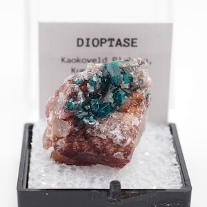 Dioptase crystals with Quartz from Kaokoveld Plateau, Namibia thumbnail mineral specimen (TN5222-7) structure minerals