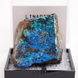 May include: A raw linarite mineral specimen featuring vibrant blue and green crystalline textures on a dark matrix. The stone is displayed inside a clear plastic box with a white label behind it that has the text LINARITE printed in black.