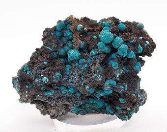 Chrysocolla crystals on matrix natural mineral specimen from Planet mine, Arizona, USA 73mm x 50mm x 42mm(F1127-3)