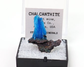 Chalcanthite natural mineral specimen from Planet mine, Arizona, USA thumbnail perky box included (TN91123-48) structure minerals