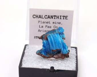 Chalcanthite natural mineral specimen from Planet mine, Arizona, USA thumbnail perky box included (TN91123-52) structure minerals