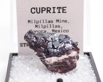 Campione di minerale di cuprite proveniente dalla miniera di Milpillas, Messico (piccolo esemplare).