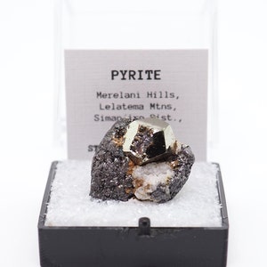 Pyrite crystal Tanzania on matrix mineral specimen geology gift sample display box natural stone gift  (TN4924-15) structure minerals