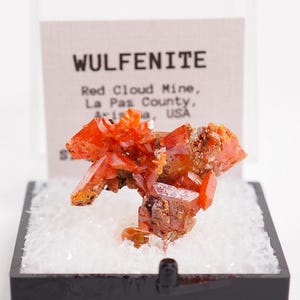 May include: A bright orange wulfenite mineral specimen displayed in a clear plastic box with a black base. A white label behind the crystal reads WULFENITE, Red Cloud Mine, La Pas County, Arizona, USA. The crystal rests on a white textured base.
