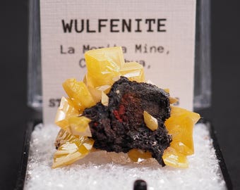 Wulfenite La Mortia mine, Mexico- Thumbnail Perky Box Mineral Specimen