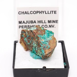 Chalcophyllite Mineral Specimen: Majuba Hill, Nevada Thumbnail Box