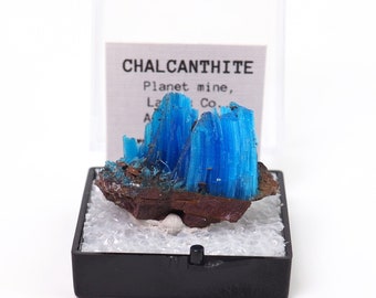 Chalcanthite natural mineral specimen from Planet mine, Arizona, USA thumbnail perky box included (TN91123-46) structure minerals