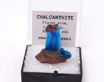 Chalcanthite natural mineral specimen from Planet mine, Arizona, USA thumbnail perky box included (TN91123-45) structure minerals