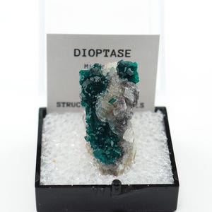Dioptase crystal with Calcite thumbnail sized mineral specimen Perky Box green natural stone from Republic of Congo