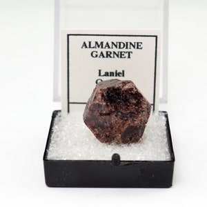 Almandine Garnet crystal from Quebec, Canada natural mineral specimen stone perky box (TN1028-69) structure minerals