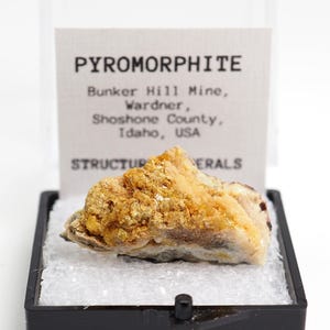 May include: A specimen of Pyromorphite, a mineral, presented in a black display case. The mineral is a mix of yellow, orange, and white hues. A white label behind the mineral reads "Pyromorphite" and details its origin in Idaho, USA.