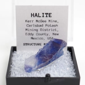 Puede incluir: Un espécimen de cristal de halita azul y transparente en una vitrina negra. El cristal está etiquetado como "HALITE" con la ubicación "Kerr McGee Mine, Carlsbad Potash Mining District, Eddy County, New Mexico, USA."