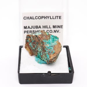 Chalcophyllite Mineral Specimen: Majuba Hill, Nevada Thumbnail Box