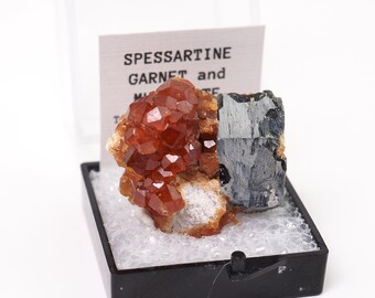 Spessartine Garnet crystals on Muscovite from Tongbei, China thumbnail mineral perky box natural stone (TN1030-37) structure minerals