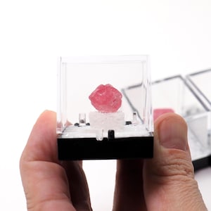 ONE Rhodochrosite Crystal Thumbnail Box Mineral Specimen Natural Pink Stone