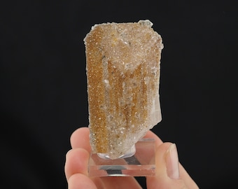 Quartz crystals on Danburite from Charcas, Mexico - 62mm x 33mm x 25mm (Tuc24.227-5)