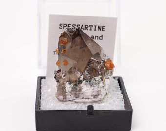 Spessartine Garnet crystals on Smoky Quartz from Tongbei, China thumbnail mineral perky box natural stone (TN1030-30) structure minerals