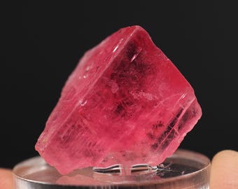 タンザニア、メレラニヒルズ産タンザナイト結晶7.6カラット鉱物標本