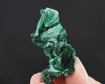 繊維状マラカイト標本