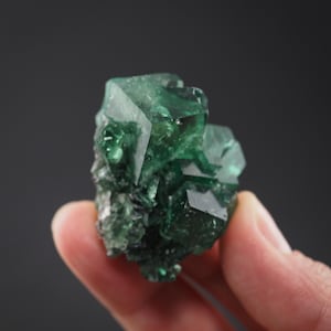 May include: A raw, deep green fluorite crystal cluster featuring multiple translucent, angular cubic formations. The mineral specimen displays varying shades of emerald and forest green with a glassy, reflective surface texture throughout.