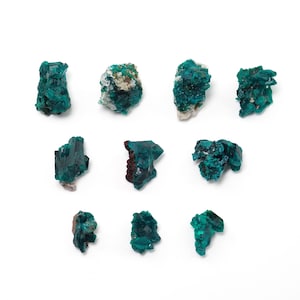 May include: An assortment of vibrant, teal-colored mineral specimens arranged on a white background. The crystals exhibit a range of textures and shapes, with some displaying a crystalline structure. The collection showcases natural geological formations.