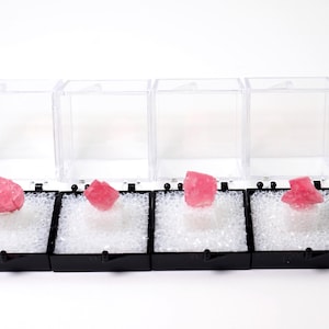 Puede incluir: Cuatro especímenes minerales rosas exhibidos en cajas negras individuales con tapas de plástico transparente. Cada espécimen descansa sobre una base de espuma blanca. El fondo es blanco liso.