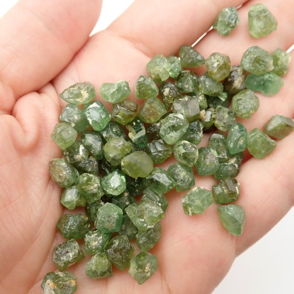 ONE Demantoid Garnet crystal from Namibia - select your size - green natural raw stone