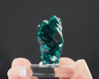 Dioptase crystal mineral specimen from Mindouli Dist., Pool Dept., Republic of the Congo - 28mm x 17mm x 22mm (F22324-33)