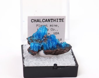 Chalcanthite natural mineral specimen from Planet mine, Arizona, USA thumbnail perky box included (TN91123-47) structure minerals