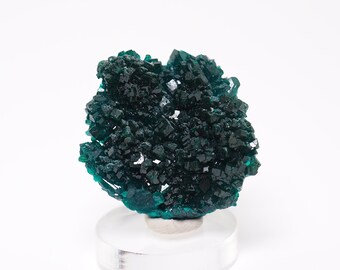 Dioptase crystals with Quartz natural stone specimen from Republic of Congo - 26mm x 26mm x 12mm (F11205)